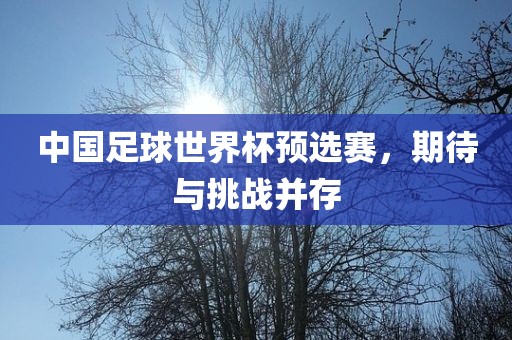 中国足球世界杯预选赛,期待与挑战并存