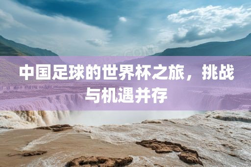 中国足球的世界杯之旅,挑战与机遇并存