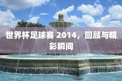 世界杯足球赛 2014，回顾与精彩瞬间