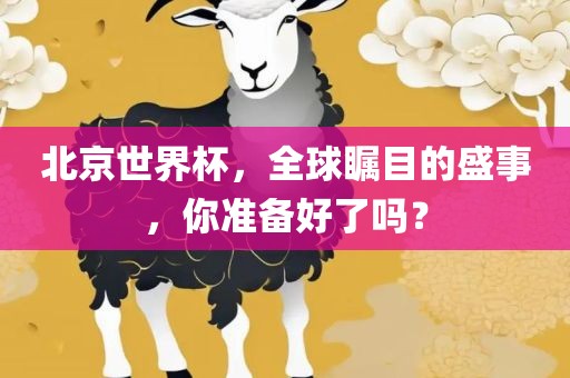 北京世界杯,全球瞩目的盛事,你准备好了吗?