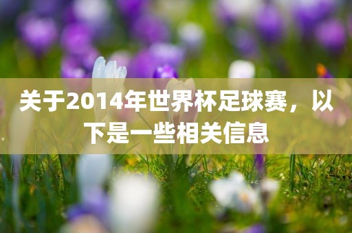 关于2014年世界杯足球赛,以下是一些相关信息