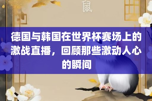 德国与韩国在世界杯赛场上的激战直播,回顾那些激动人心的瞬间
