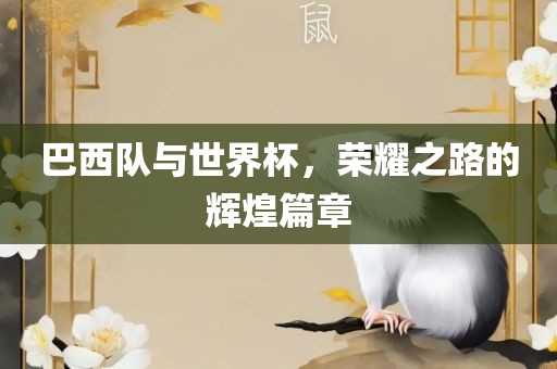 巴西队与世界杯,荣耀之路的辉煌篇章