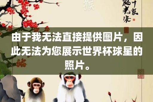 由于我无法直接提供图片,因此无法为您展示世界杯球星的照片。
