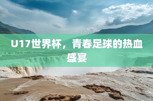 U17世界杯,青春足球的热血盛宴