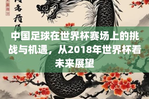 中国足球在世界杯赛场上的挑战与机遇,从2018年世界杯看未来展望