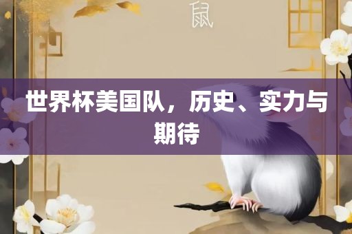 世界杯美国队，历史、实力与期待