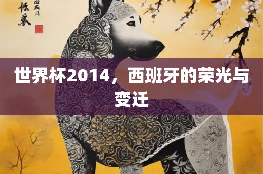 世界杯2014,西班牙的荣光与变迁