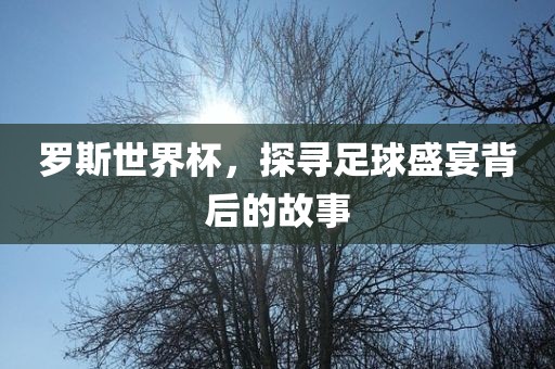 罗斯世界杯,探寻足球盛宴背后的故事