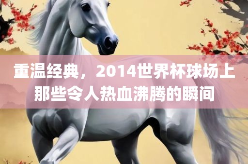 重温经典,2014世界杯球场上那些令人热血沸腾的瞬间