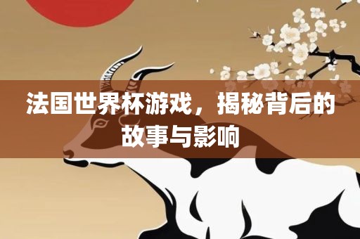 法国世界杯游戏，揭秘背后的故事与影响