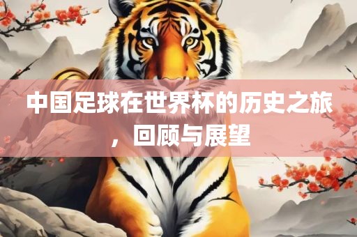 中国足球在世界杯的历史之旅,回顾与展望