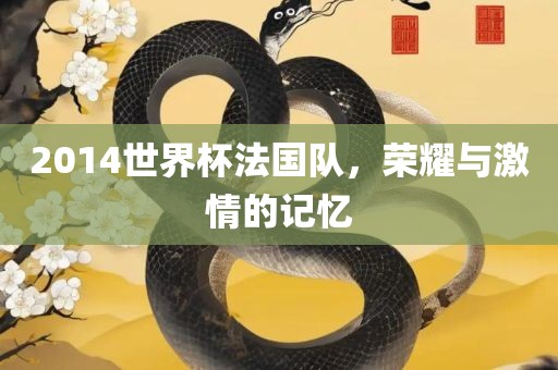 2014世界杯法国队,荣耀与激情的记忆