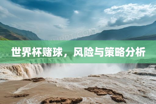 世界杯赌球,风险与策略分析