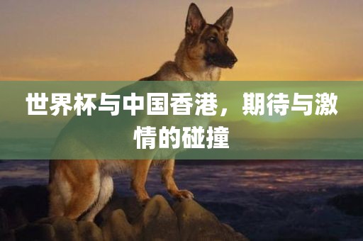 世界杯与中国香港，期待与激情的碰撞