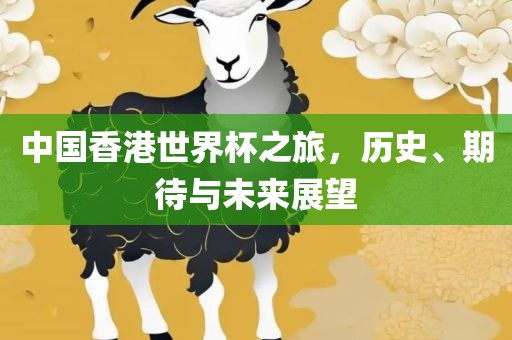 中国香港世界杯之旅,历史、期待与未来展望