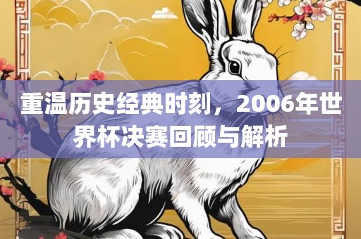 重温历史经典时刻,2006年世界杯决赛回顾与解析