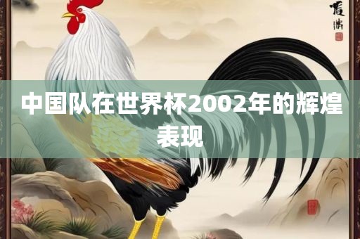 中国队在世界杯2002年的辉煌表现