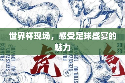世界杯现场，感受足球盛宴的魅力