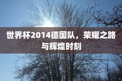世界杯2014德国队，荣耀之路与辉煌时刻
