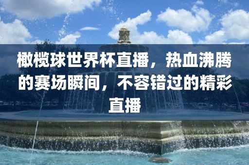 橄榄球世界杯直播，热血沸腾的赛场瞬间，不容错过的精彩直播