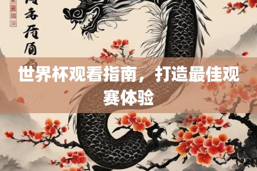 世界杯观看指南，打造最佳观赛体验