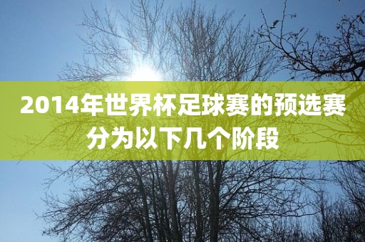 2014年世界杯足球赛的预选赛分为以下几个阶段