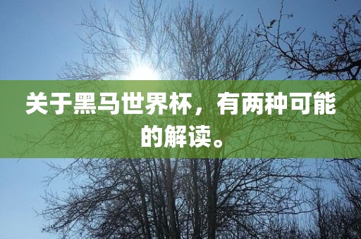 关于黑马世界杯，有两种可能的解读。