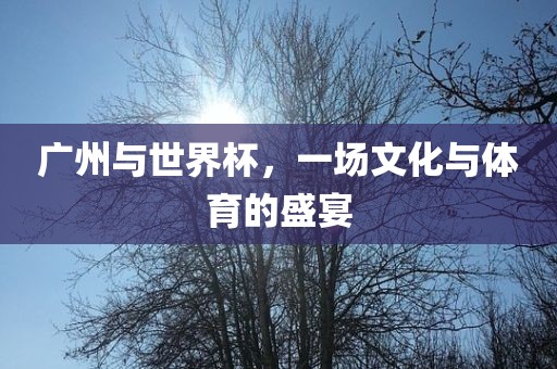 广州与世界杯,一场文化与体育的盛宴