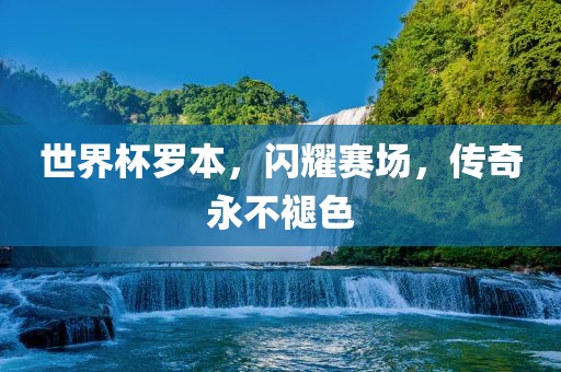 世界杯罗本,闪耀赛场,传奇永不褪色