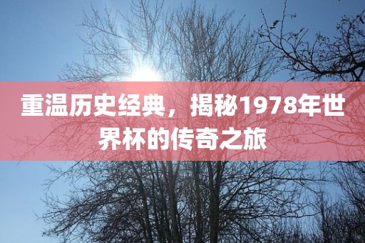 重温历史经典，揭秘1978年世界杯的传奇之旅