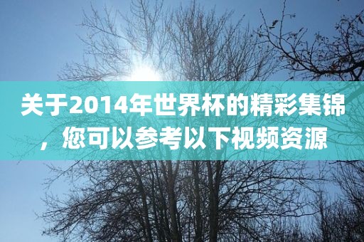 关于2014年世界杯的精彩集锦，您可以参考以下视频资源