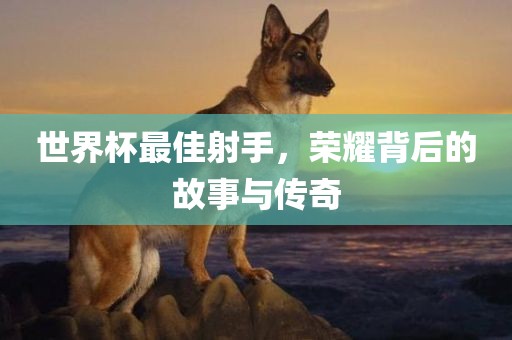 世界杯最佳射手,荣耀背后的故事与传奇