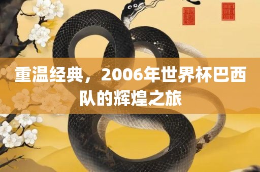重温经典,2006年世界杯巴西队的辉煌之旅