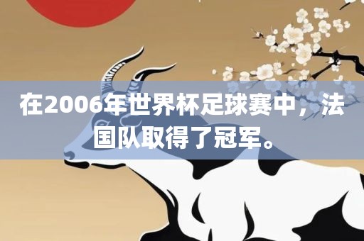 在2006年世界杯足球赛中,法国队取得了冠军。