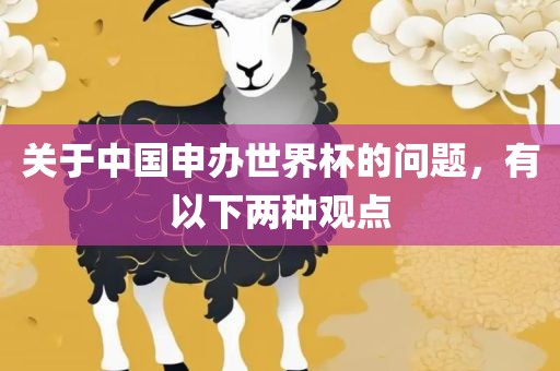 关于中国申办世界杯的问题,有以下两种观点
