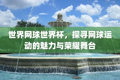 世界网球世界杯,探寻网球运动的魅力与荣耀舞台