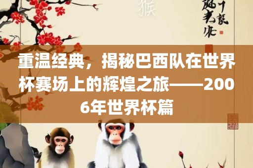 重温经典,揭秘巴西队在世界杯赛场上的辉煌之旅——2006年世界杯篇