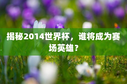 揭秘2014世界杯,谁将成为赛场英雄?