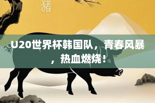 U20世界杯韩国队,青春风暴,热血燃烧!