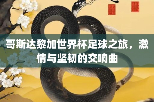 哥斯达黎加世界杯足球之旅,激情与坚韧的交响曲