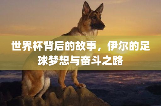 世界杯背后的故事,伊尔的足球梦想与奋斗之路