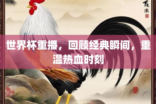 世界杯重播,回顾经典瞬间,重温热血时刻