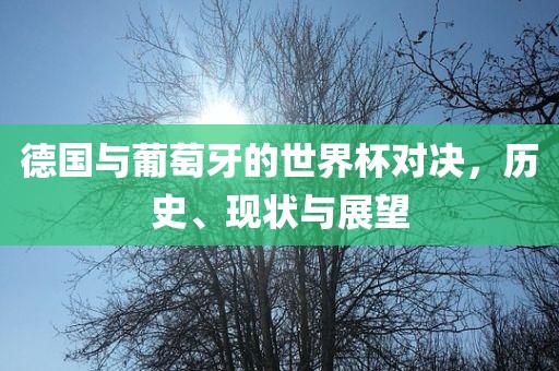 德国与葡萄牙的世界杯对决,历史、现状与展望