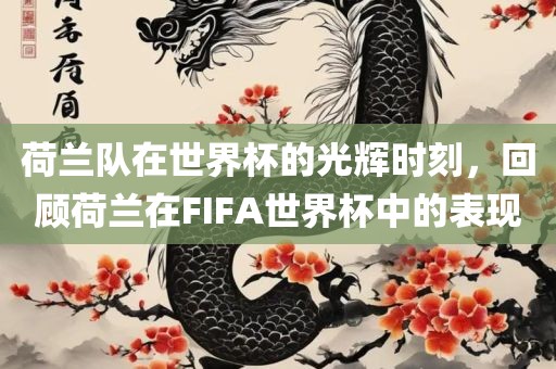 荷兰队在世界杯的光辉时刻，回顾荷兰在FIFA世界杯中的表现