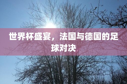 世界杯盛宴,法国与德国的足球对决
