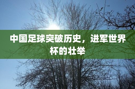中国足球突破历史，进军世界杯的壮举
