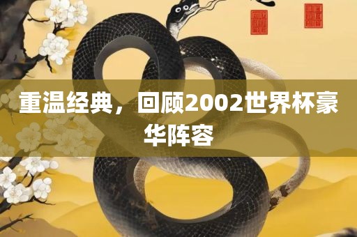 重温经典,回顾2002世界杯豪华阵容
