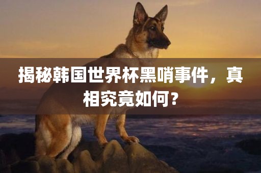 揭秘韩国世界杯黑哨事件,真相究竟如何?