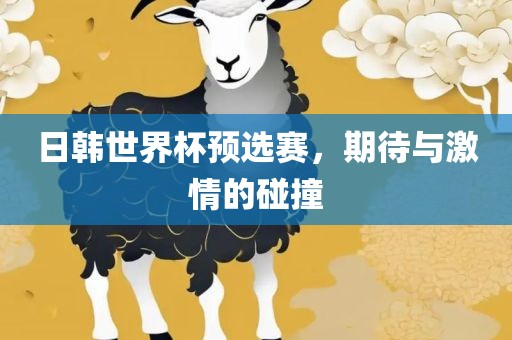 日韩世界杯预选赛，期待与激情的碰撞